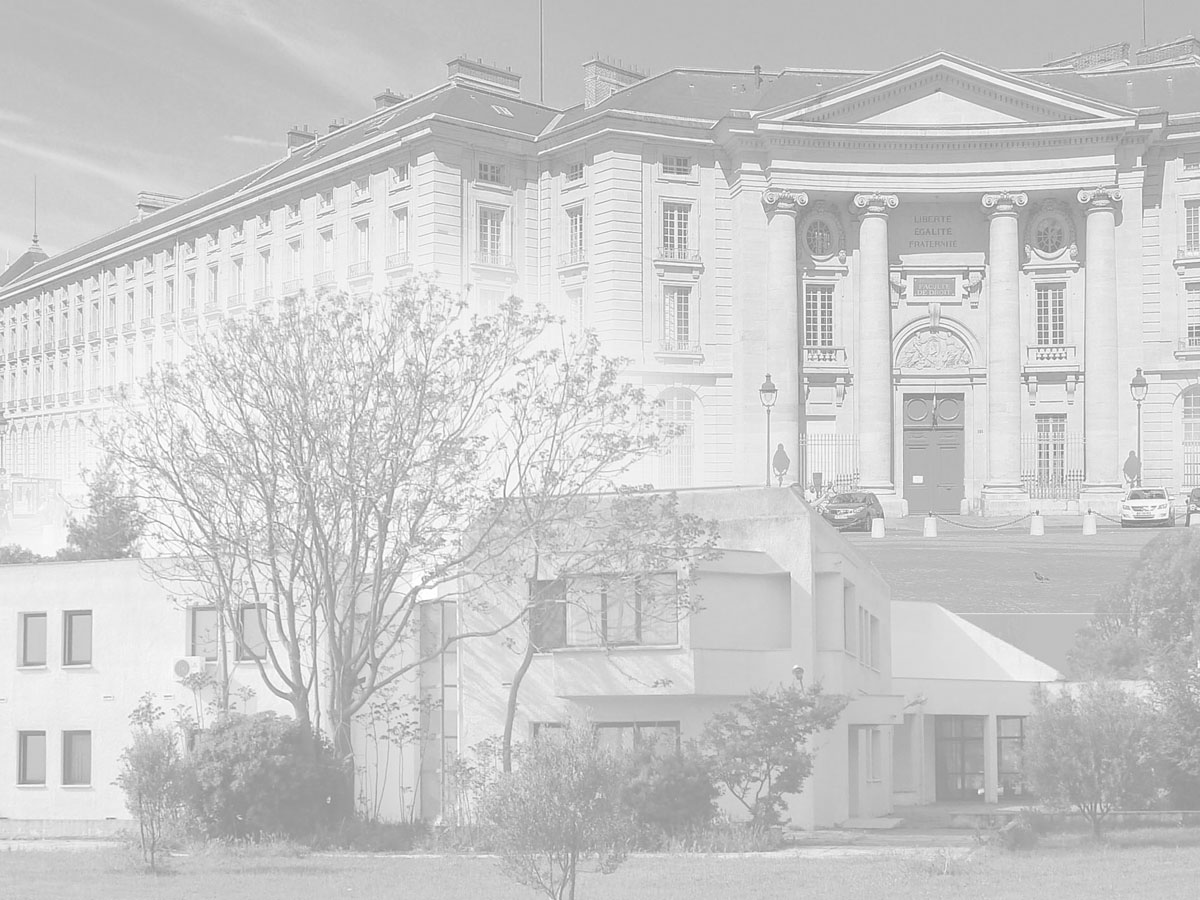 LL.M. in EU Economic Law